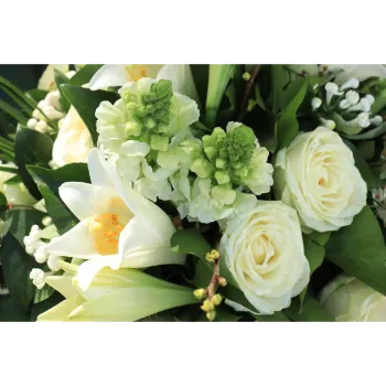 Yellow Cut Flowers